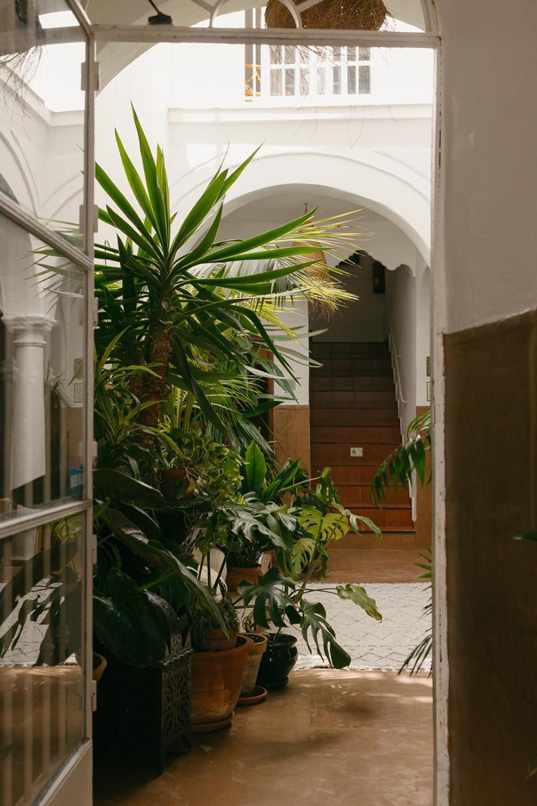 Hostal Africa Tarifa Exterior photo